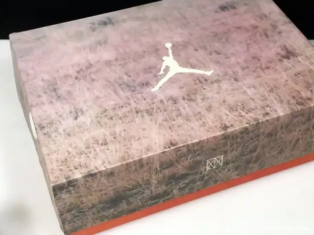 Reps LUCY Bio Air AV6683-200 JTH Beige 3 Jordan 0501